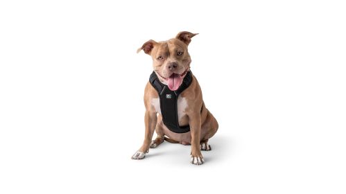 GF PET Travel Harness -Black (size: 2XS)